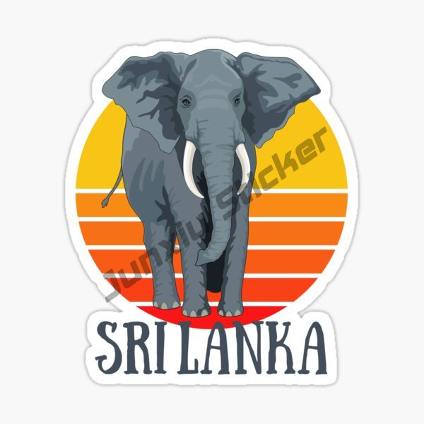 Fashion Car Sticker Sri Lanka  - مراجعة Laptop Accessories Sri Lanka وسعره