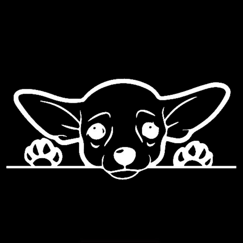 Lykx Cute Chihuahua Dog Car St - مراجعة Laptop Accessories Ideas وسعره