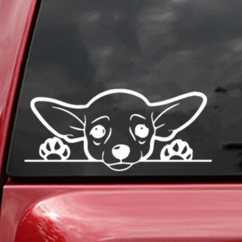 Lykx Cute Chihuahua Dog Car St - مراجعة Laptop Accessories Ideas وسعره