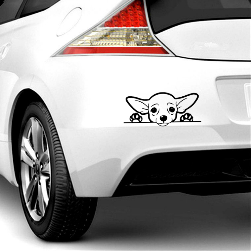 Lykx Cute Chihuahua Dog Car St - مراجعة Laptop Accessories Ideas وسعره